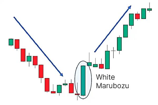 محاسن و ایرادات استفاده از Marubozu